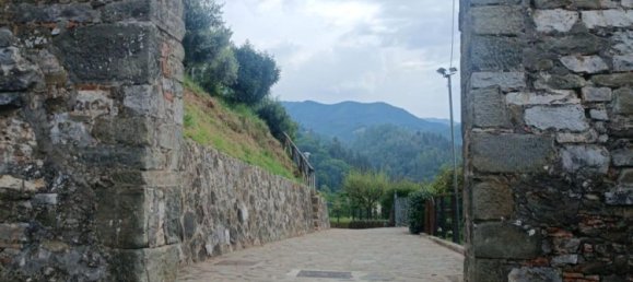 Квартира с 4 спальнями в Корелья Антельминелли, Италия № 323354 23