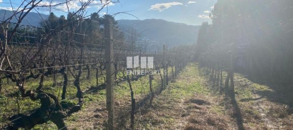 Земельный участок 12560м² в Марку ди Канавезиш, Португалия № 56103 24