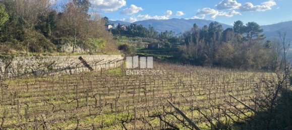 Земельный участок 12560м² в Марку ди Канавезиш, Португалия № 56103 18