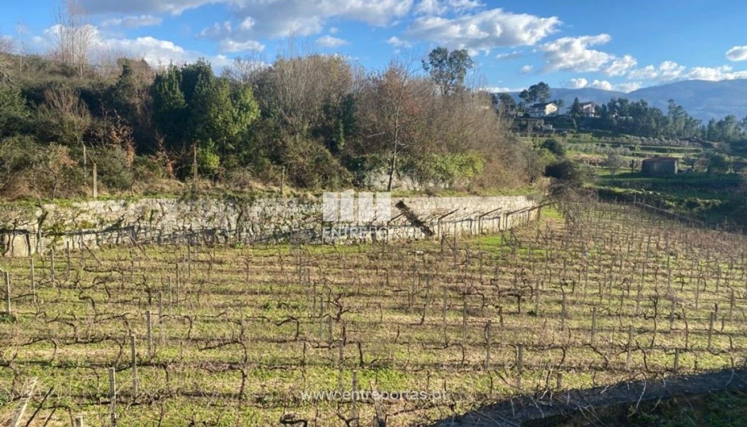 Земельный участок 12560м² в Марку ди Канавезиш, Португалия № 56103