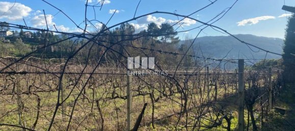 Земельный участок 12560м² в Марку ди Канавезиш, Португалия № 56103 21