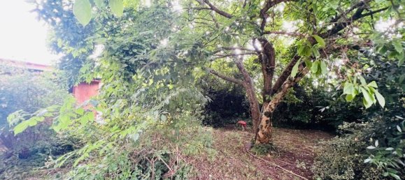 6-Zimmer Haus in Gorizia, Italy, Nr. 83077 7