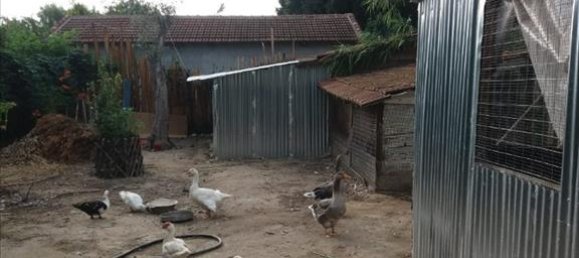 Недвижимость 320м² в Волос, Магнисия, Фессалия, Фессалия и Центральная Греция, Греция № 4586 6
