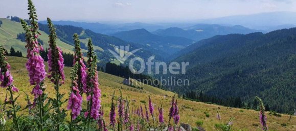  Land in Koflach, Austria No. 132237 8