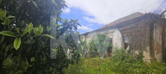 Casa de 5 dormitorios en Oliveira de Azemeis, Portugal No. 87625 4
