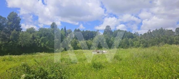 Casa de 5 dormitorios en Oliveira de Azemeis, Portugal No. 87625 46