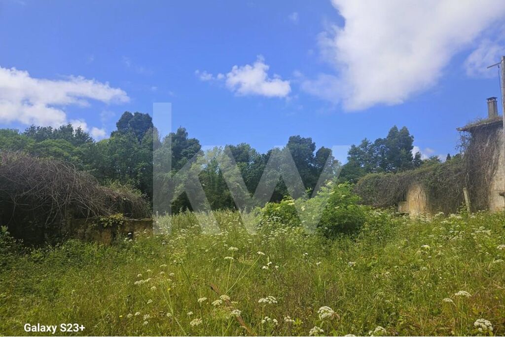 Casa de 5 dormitorios en Oliveira de Azemeis, Portugal No. 87625