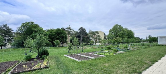 3-salle Appartement à Liesing, Austria No. 260974 5