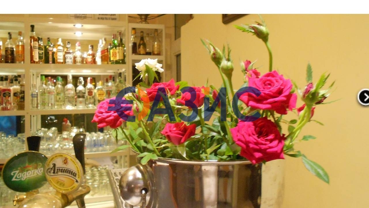 21 room Hotel in Primorsko, Bulgaria No. 995