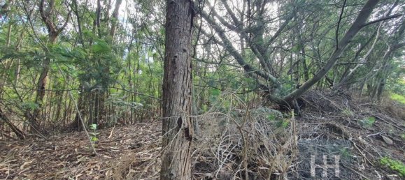 Grundstück in Santa Cruz, Portugal 690m², Nr. 136958 4