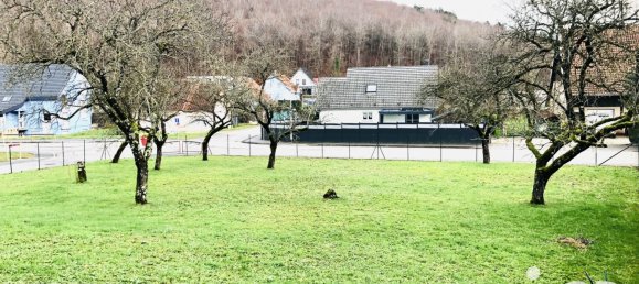 6-Zimmer Haus in Durlinsdorf, France, Nr. 72196 3