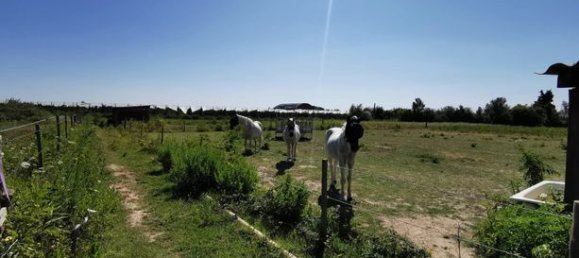 7 rooms Villa in Beaucaire, France No. 279216 14