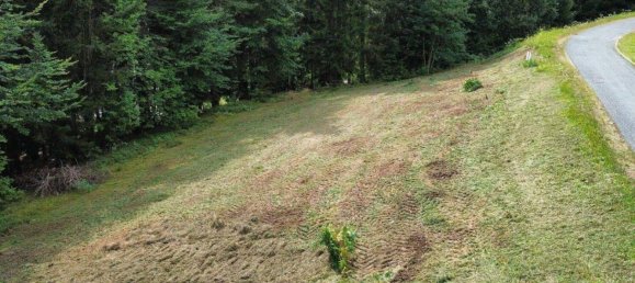 Grundstück in Strallegg, Austria, Nr. 23421 4