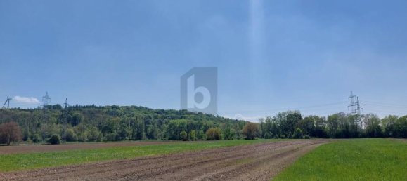 Земельный участок в Герцогенбург, Австрия № 206906 5