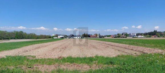 Земельный участок в Герцогенбург, Австрия № 206906 2