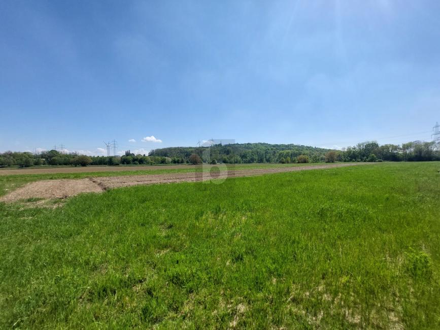 Земельный участок в Герцогенбург, Австрия № 206906