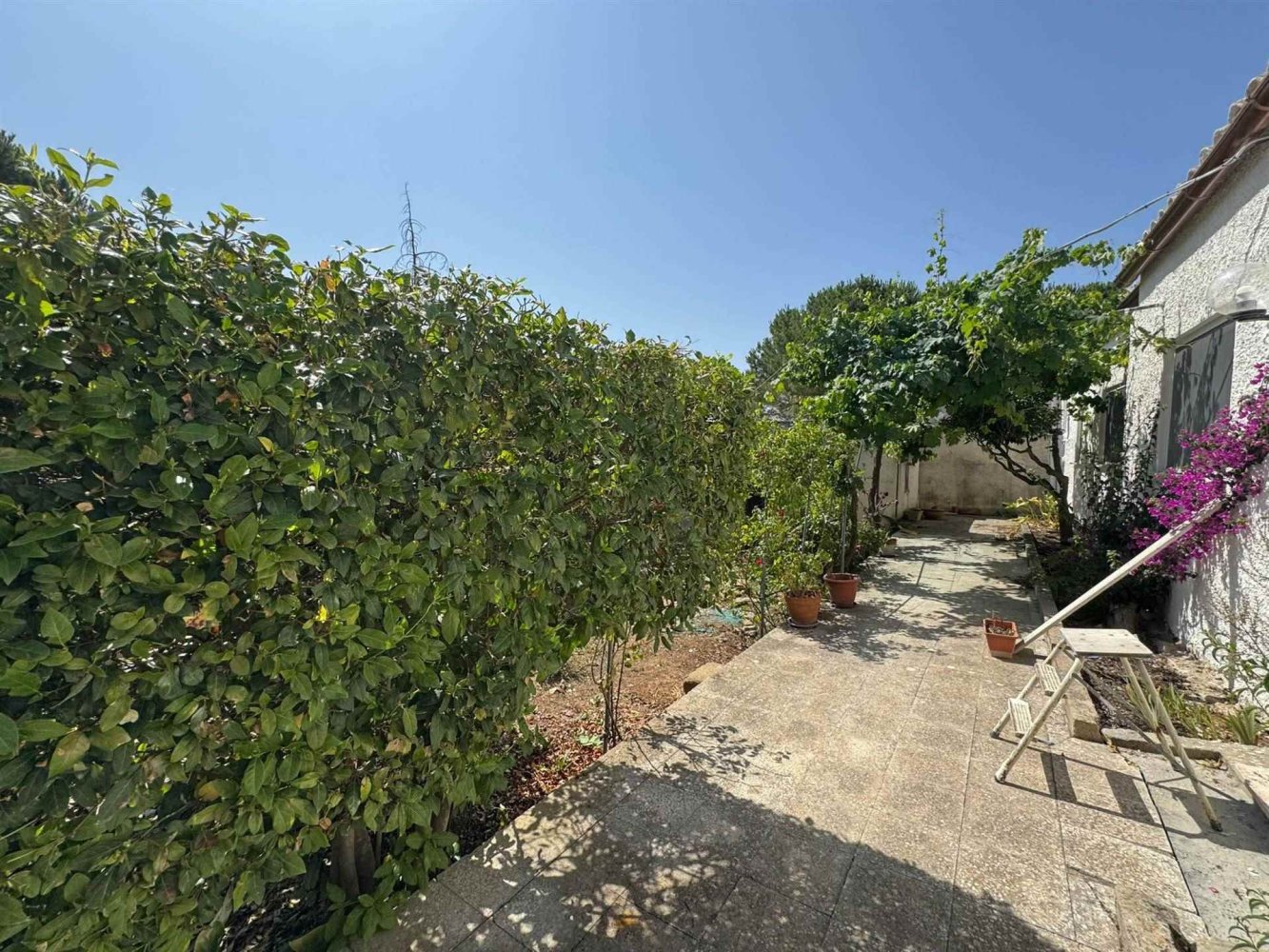 2 chambres Maison à Buseto Palizzolo, Italy No. 275538