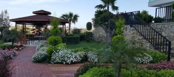 شقة 1+1 في Avsallar, Turkey رقم 31821 3