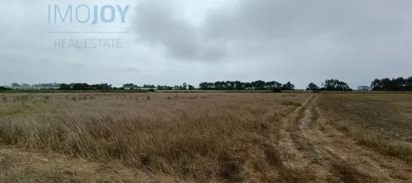 Grundstück in Sao Teotonio, Portugal, Nr. 52368 3