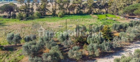 3 غرف نوم فيلا في Pomezia, Italy رقم 135101 33