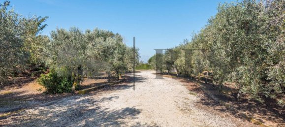 3 غرف نوم فيلا في Pomezia, Italy رقم 135101 34