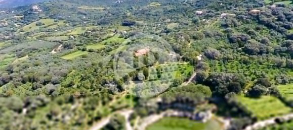 6 Schlafzimmer Schlösser in Palau, Italy, Nr. 19381 9