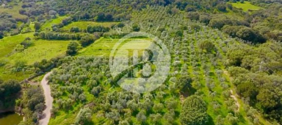 6 Schlafzimmer Schlösser in Palau, Italy, Nr. 19381 10