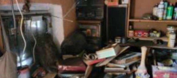 3 chambres Appartement à Mortara, Italy No. 314973 7