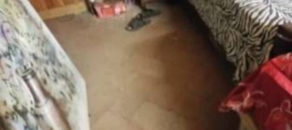 3 chambres Appartement à Mortara, Italy No. 314973 15