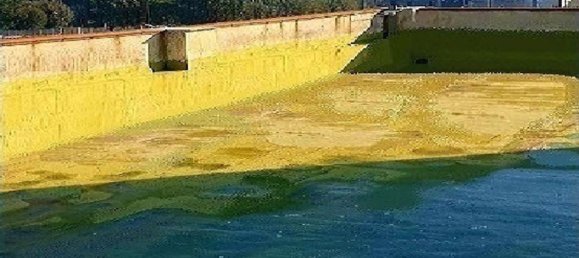 4-Zimmer Wohnung in Naples, Italy, Nr. 174482 19