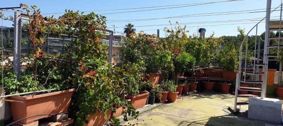 4-Zimmer Wohnung in Naples, Italy, Nr. 174482 17