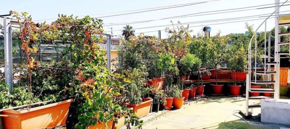 4-Zimmer Wohnung in Naples, Italy, Nr. 174482 16