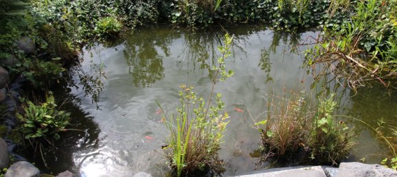  Land in Harburg, Germany No. 351287 16