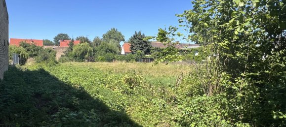 Terreno em Nordsachsen, Germany N.º 247378 2