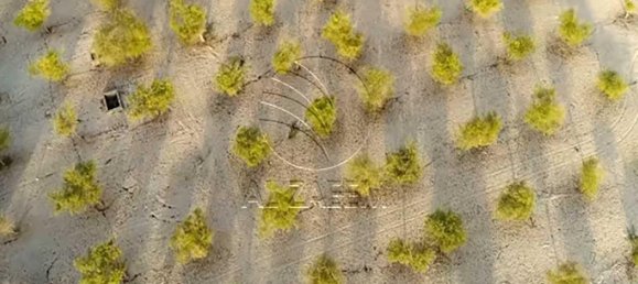 Grundstück in Ghantoot, UAE 756m², Nr. 29898 3