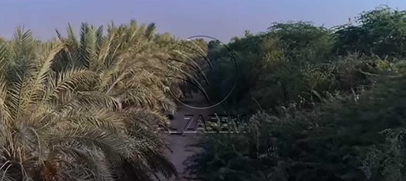 Grundstück in Ghantoot, UAE 756m², Nr. 29898 5