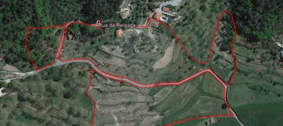 10 bedrooms House in Celorico de Basto, Portugal No. 51825 45