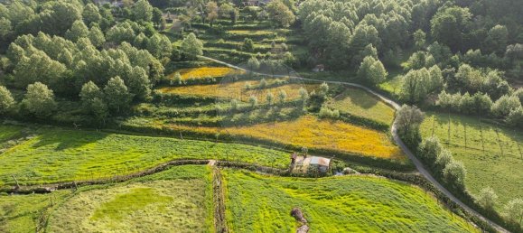 10 bedrooms House in Celorico de Basto, Portugal No. 51825 2