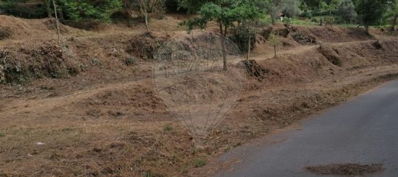 10 bedrooms House in Celorico de Basto, Portugal No. 51825 38