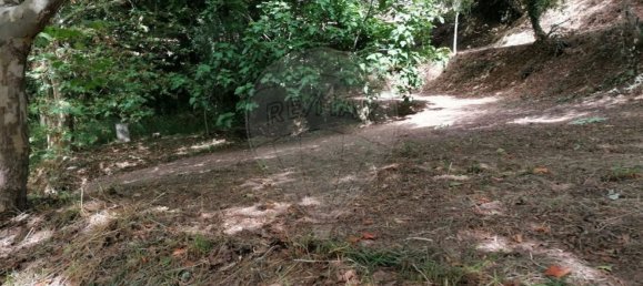 10 bedrooms House in Celorico de Basto, Portugal No. 51825 39