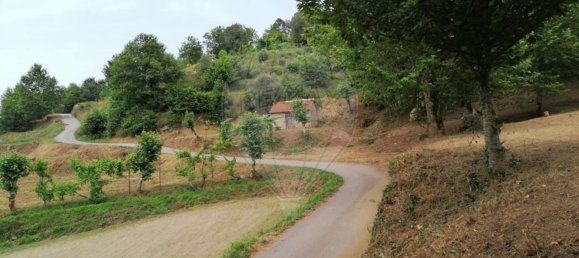 10 bedrooms House in Celorico de Basto, Portugal No. 51825 34