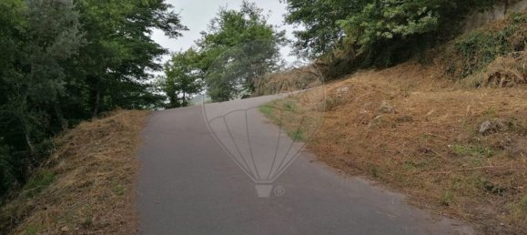 10 bedrooms House in Celorico de Basto, Portugal No. 51825 42