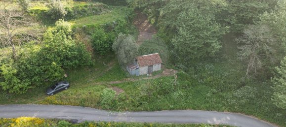 10 bedrooms House in Celorico de Basto, Portugal No. 51825 33