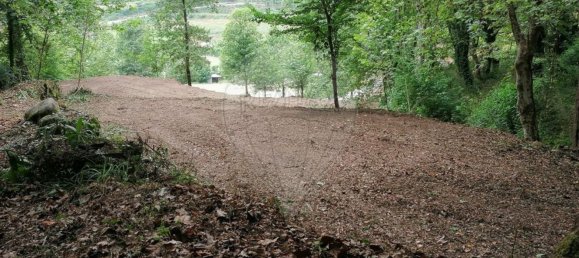 10 bedrooms House in Celorico de Basto, Portugal No. 51825 35