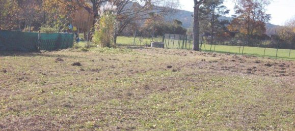  Land in Mischendorf, Austria No. 132668 3