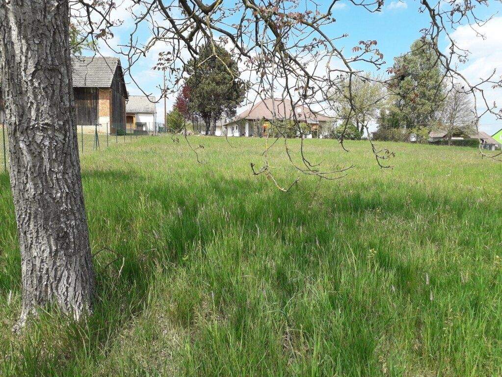  Land in Mischendorf, Austria No. 132668