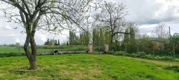 6 rooms Villa in Sinalunga, Italy No. 282752 8