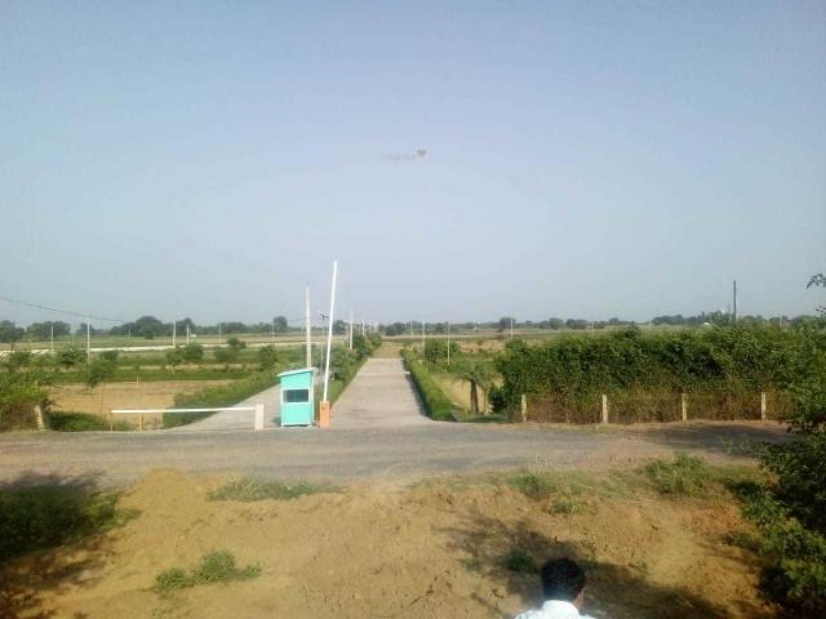  Land in Noida, India No. 65686