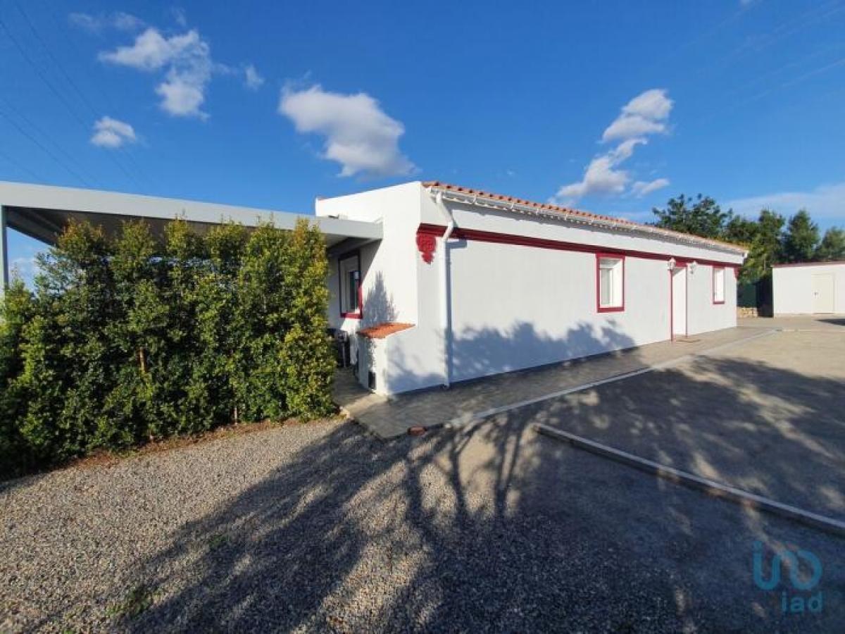 3 chambres Maison à Faro, Portugal No. 6253