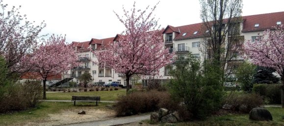 استوديو في Bautzen, Germany رقم 140655 7